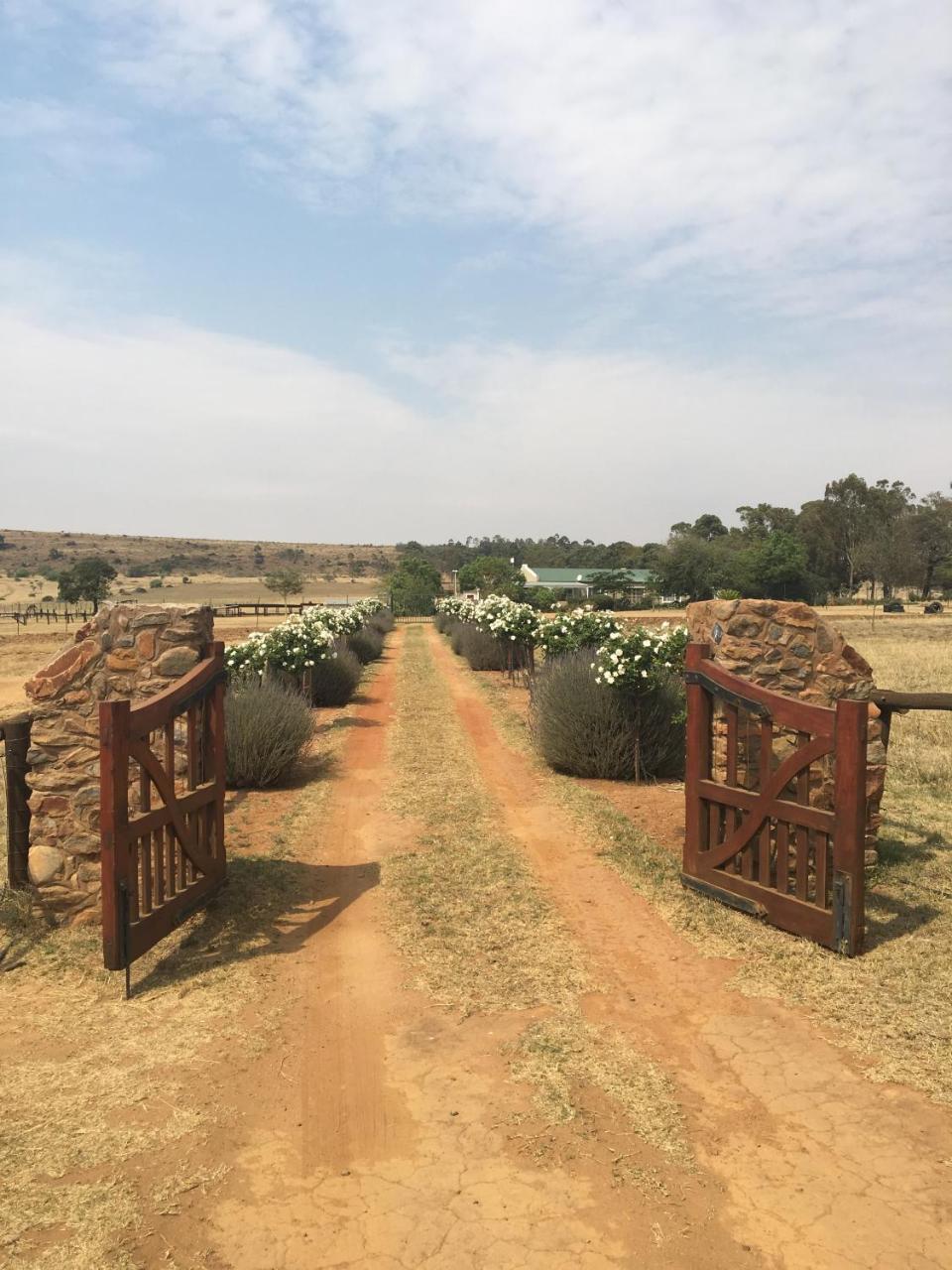 Sanctuary Life Guest Farm Hotel Magaliesburg Ngoại thất bức ảnh